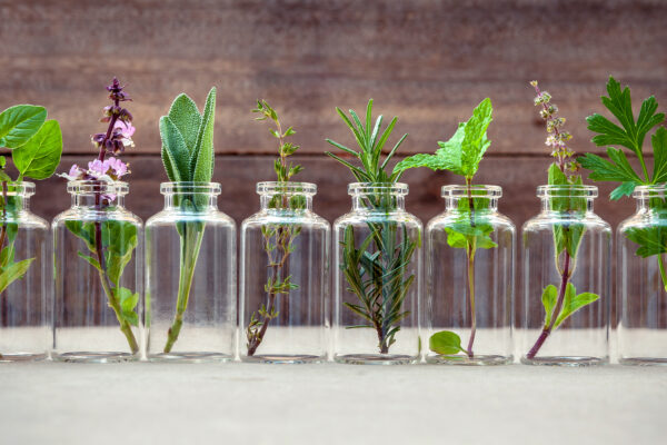 plant-based first aid