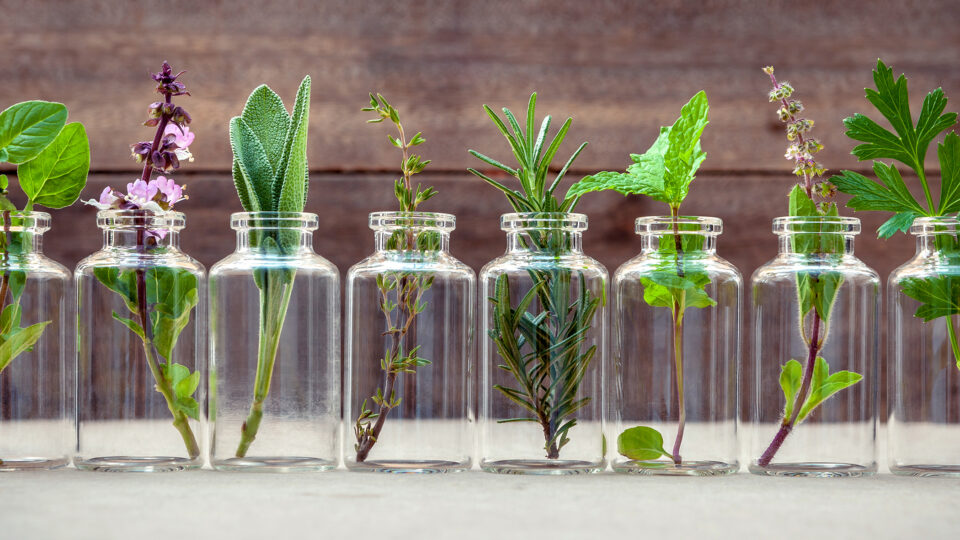 plant-based first aid