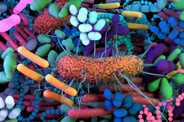 The Global Gut Microbiome