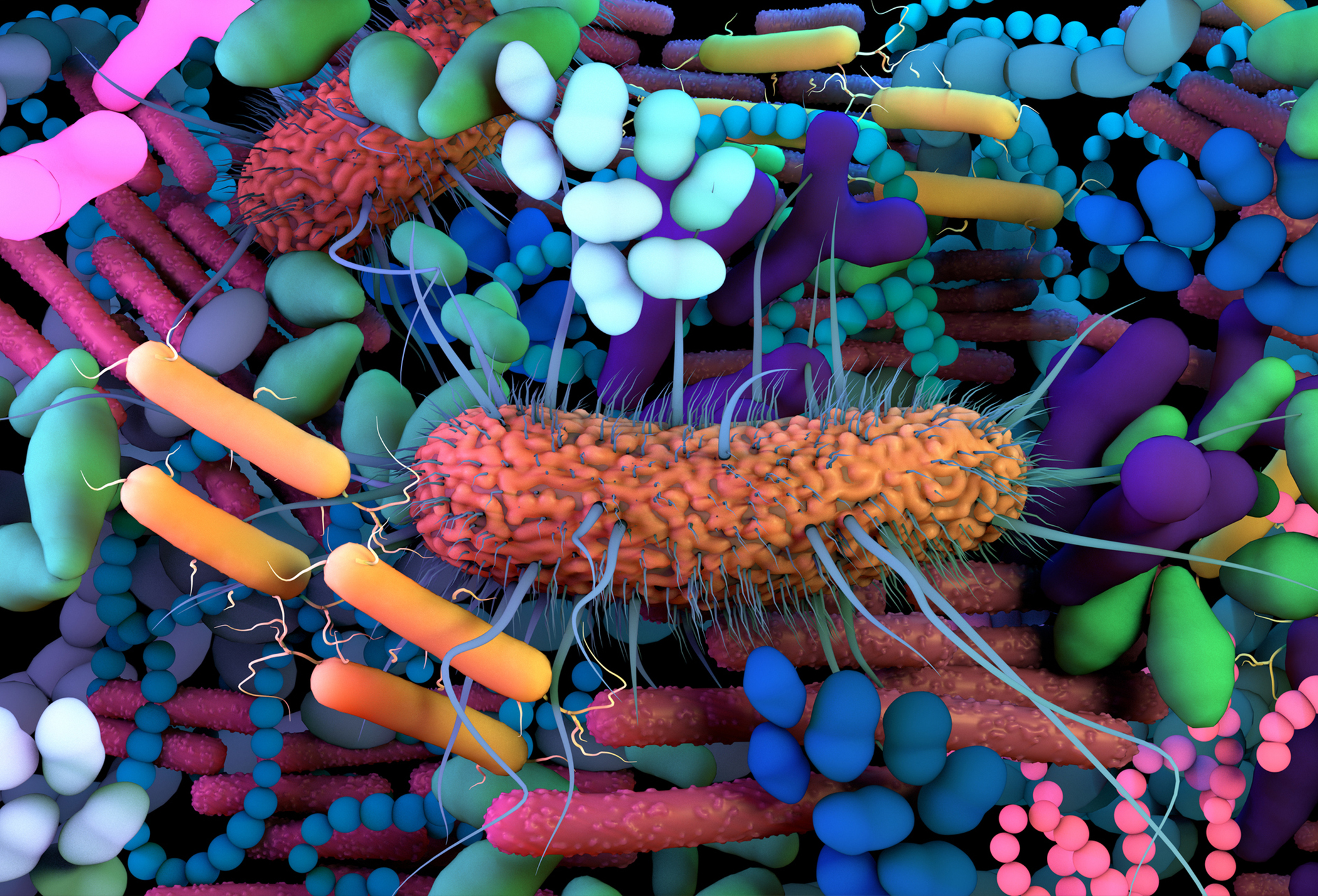 The Global Gut Microbiome