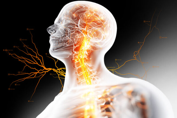 Are Vagus Nerve Stimulators Worth The Hype?