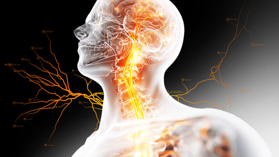 Are Vagus Nerve Stimulators Worth The Hype?