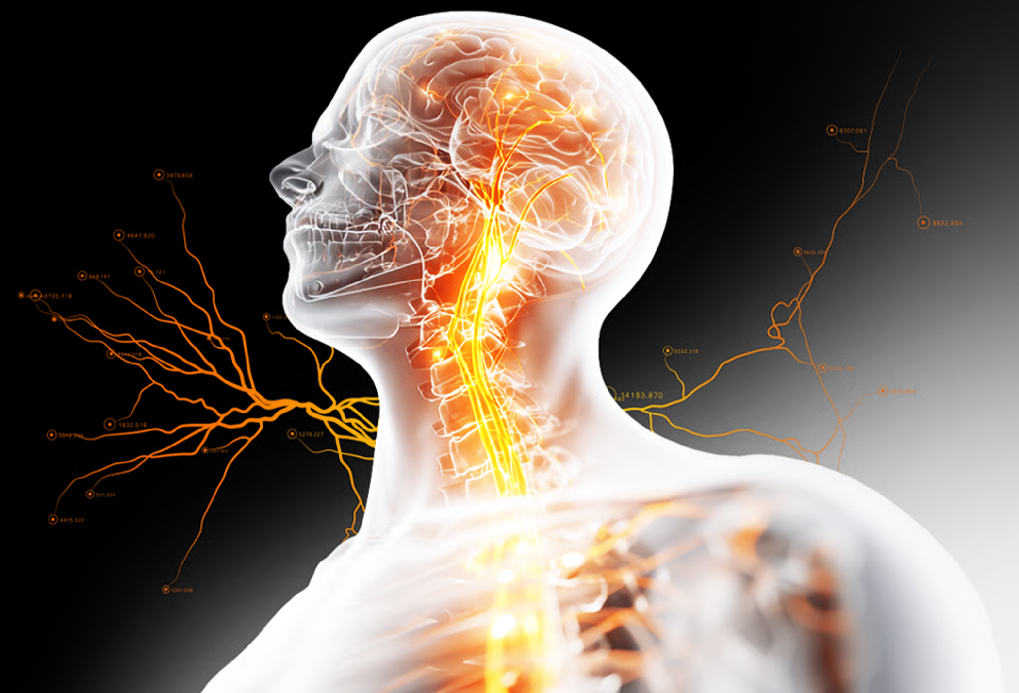 Are Vagus Nerve Stimulators Worth The Hype?